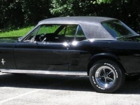 1967 Ford Mustang for sale in Riverhead, New York (ID-130362)