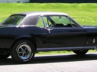 1967 Ford Mustang for sale in Riverhead, New York (ID-130362)