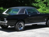 1967 Ford Mustang for sale in Riverhead, New York (ID-130362)