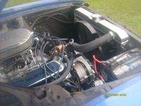1967 Ford Mustang for sale in Michigan (ID-131290)