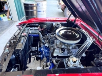 1967 Ford Mustang for sale in Michigan (ID-131547)