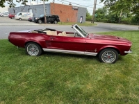 1967 Ford Mustang for sale in Riverhead, New York (ID-132139)