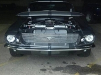 1967 Ford Mustang for sale (ID-99346)