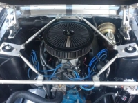 1967 Ford Mustang for sale (ID-99346)