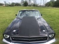 1967 Ford Mustang for sale (ID-124448)