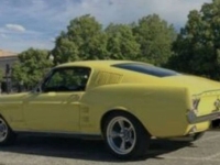 1967 Ford Mustang for sale in Michigan (ID-134938)