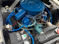 1967 Ford Mustang for sale in Michigan (ID-137191)