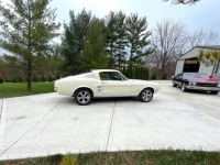 1967 Ford Mustang for sale in Michigan (ID-137191)