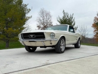 1967 Ford Mustang for sale in Michigan (ID-137191)