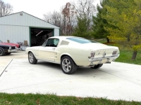 1967 Ford Mustang for sale in Michigan (ID-137191)