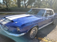 1967 Ford Mustang for sale in Michigan (ID-137877)