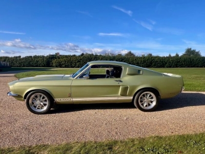 1967 Ford Mustang for sale