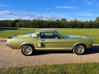 1967 Ford Mustang for sale in Michigan (ID-138481)
