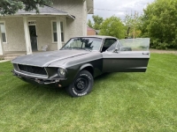 1967 Ford Mustang for sale in Michigan (ID-142137)