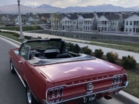 1967 Ford Mustang for sale in Michigan (ID-142427)