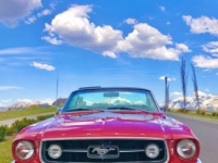 1967 Ford Mustang for sale in Michigan (ID-142427)