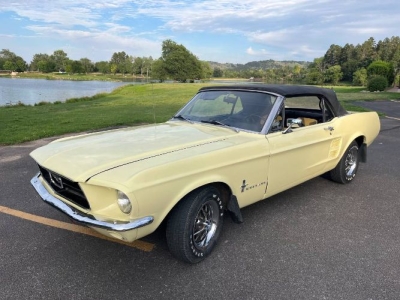 1967 Ford Mustang for sale