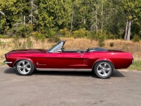 1967 Ford Mustang for sale in Michigan (ID-144564)