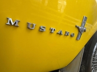 1967 Ford Mustang for sale in Michigan (ID-145239)