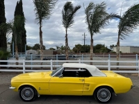 1967 Ford Mustang for sale in Michigan (ID-145239)