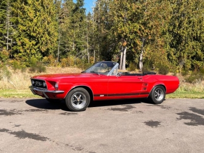 1967 Ford Mustang for sale