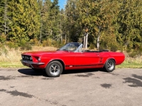1967 Ford Mustang for sale in Michigan (ID-145391)
