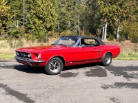 1967 Ford Mustang for sale in Michigan (ID-145391)