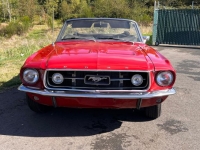 1967 Ford Mustang for sale in Michigan (ID-145391)