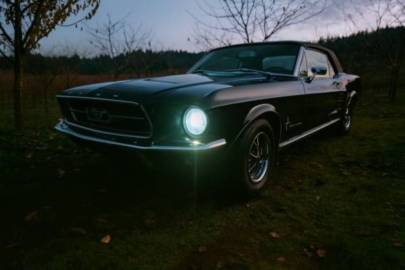 1967 Ford Mustang for sale in Michigan (ID-146806)