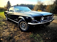 1967 Ford Mustang for sale in Michigan (ID-146806)