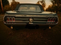 1967 Ford Mustang for sale in Michigan (ID-146806)