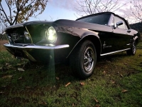 1967 Ford Mustang for sale in Michigan (ID-146806)