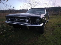 1967 Ford Mustang for sale in Michigan (ID-146806)