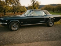 1967 Ford Mustang for sale in Michigan (ID-146806)