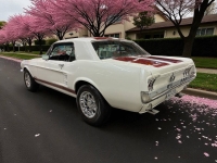 1967 Ford Mustang for sale in Addison, Illinois (ID-155026)