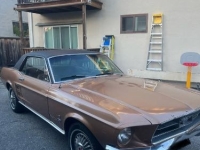 1967 Ford Mustang for sale in Michigan (ID-156259)
