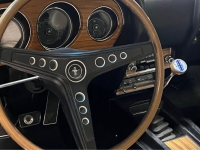 1967 Ford Mustang for sale in Michigan (ID-161780)