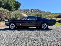 1967 Ford Mustang for sale in Michigan (ID-163265)