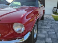 1967 Ford Mustang for sale in Michigan (ID-163338)