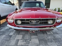 1967 Ford Mustang for sale in Michigan (ID-163338)