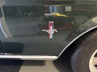 1967 Ford Mustang for sale in Michigan (ID-163514)
