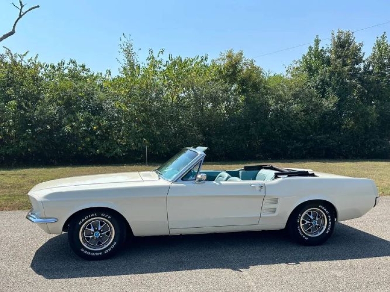 1967 Ford Mustang for sale in Michigan (ID-163595)