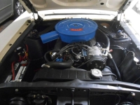 1967 Ford Mustang for sale in Michigan (ID-163595)