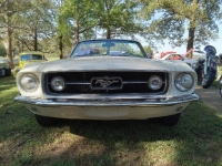 1967 Ford Mustang for sale in Michigan (ID-163595)