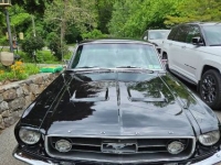 1967 Ford Mustang for sale in Michigan (ID-163696)