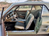 1967 Ford Mustang for sale in Michigan (ID-163908)