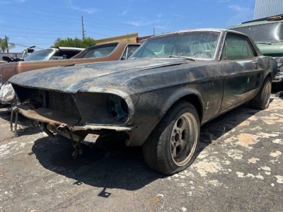 1967 Ford Mustang for sale