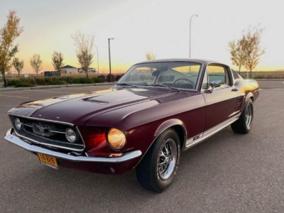 1967 Ford Mustang GT for sale