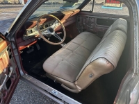 1967 Ford Ranchero for sale in Michigan (ID-164235)