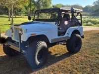 1967 Jeep CJ5 for sale in Michigan (ID-134668)